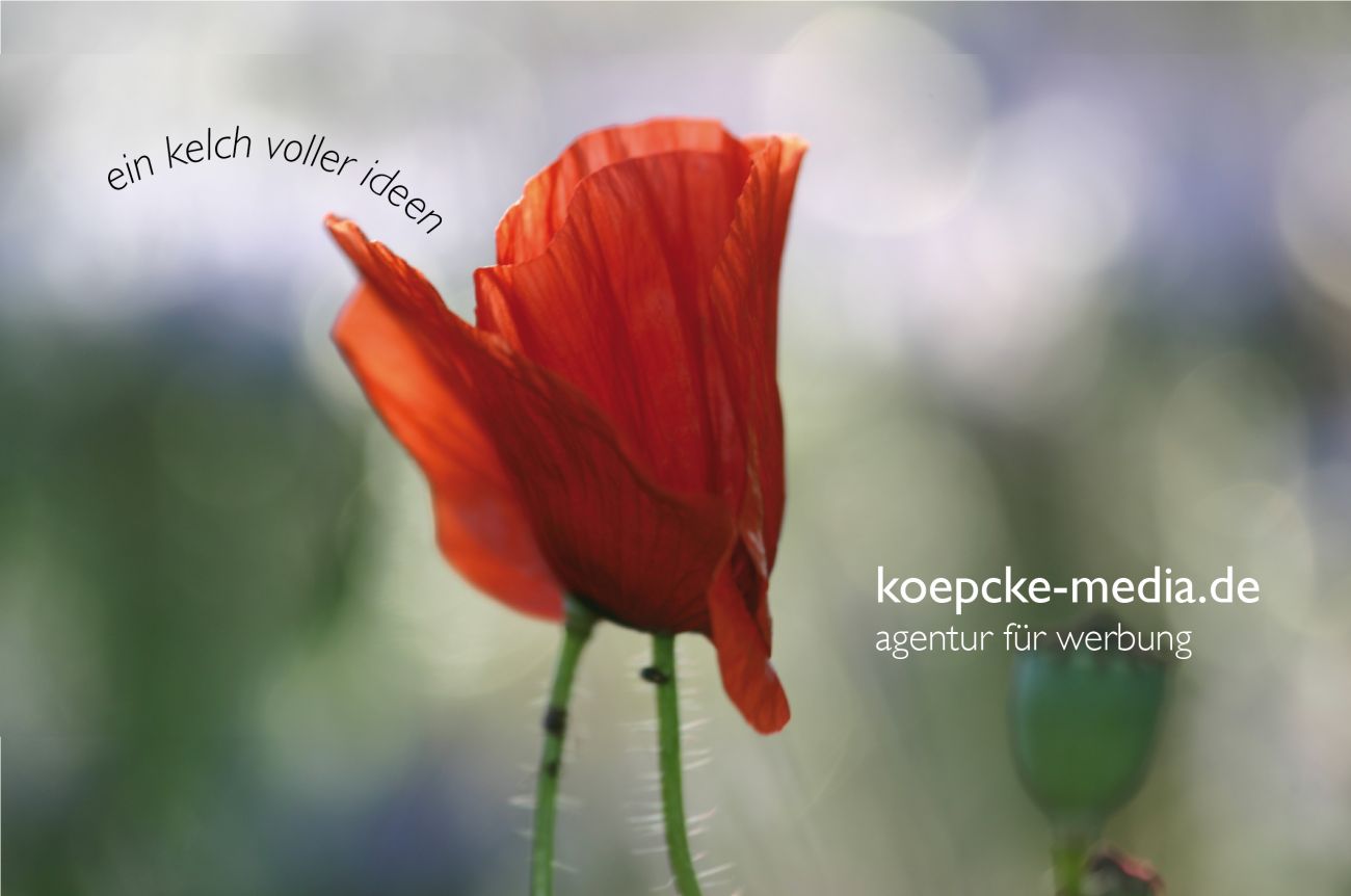 files/schaufenster-guestrow/img/haendler/koepcke_publishing_ltd/slider/mohn.jpg