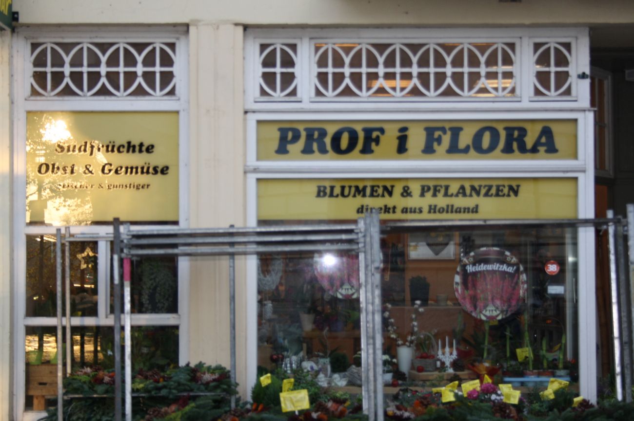 Profiflora.JPG