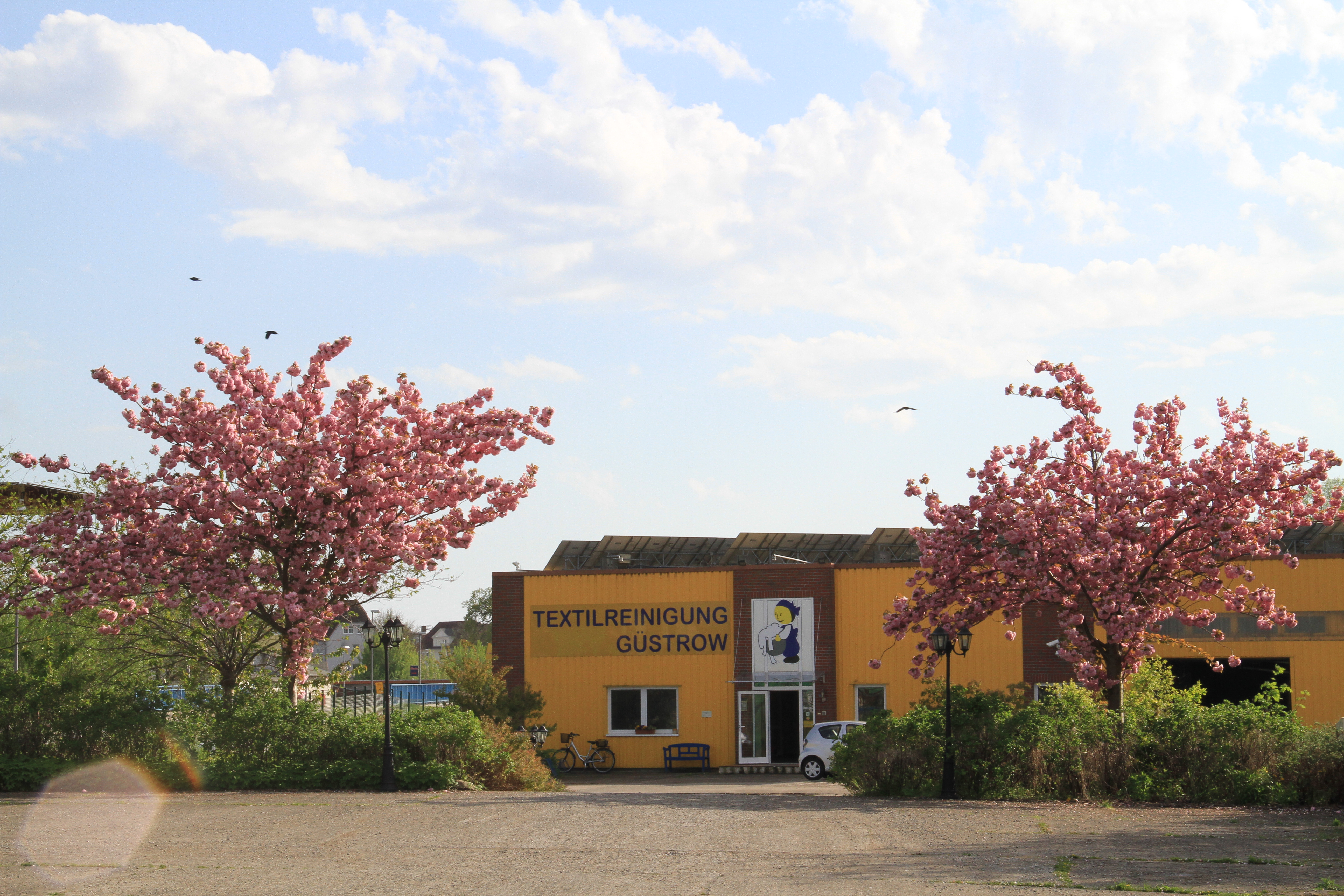 files/schaufenster-guestrow/img/haendler/t_w_textilreinigung_und_waescherei_gmbh_guestrow/slider/IMG_6083.JPG